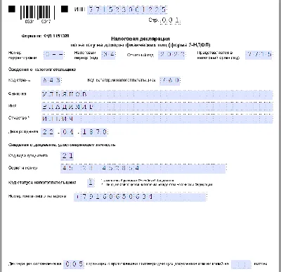 Как избежать ошибок при заполнении декларации 3 НДФЛ