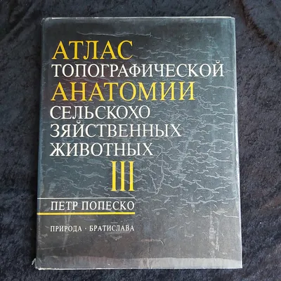 Купить Субмодуль выходного каскада EEL25 15:15 CE сварочного инвертора  Зенит ЗСИ-300/3 профи Купить Субмодуль выходного каскада