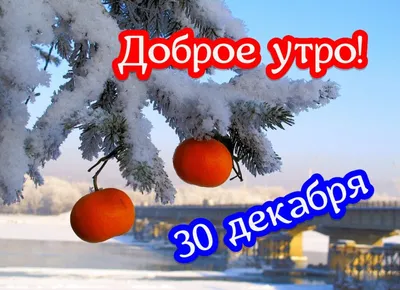 Картинки Доброе утро декабря и отличного настроения | Zamanilka