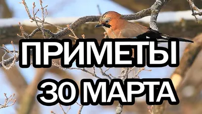 Какой сегодня праздник в Таджикистане и мире: 30 марта - 30.03.2019,  Sputnik Таджикистан