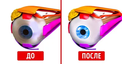 Eyedaptic представляет сверхлегкие умные очки EYE5 для улучшения зрения |  InvaNews