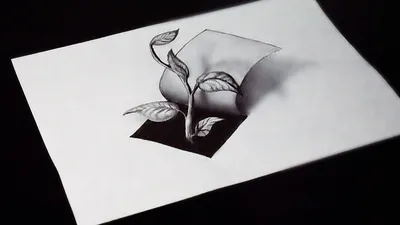 Как нарисовать 3D рисунок простым карандашом ИЛЛЮЗИЯ на бумаге - YouTube |  Рисунок, Реалистичные рисунки, Работы, выполненные углем