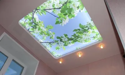 Фотопечать и 3D рисунки на натяжном потолке - Натяжные потолки в Йошкар-Оле  и РМЭ | NIMB