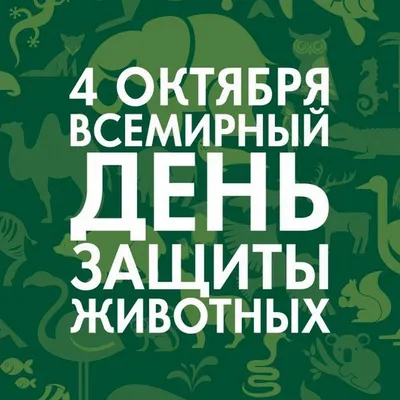 4 октября - Всемирный день защиты животных - Новости - Управление по  образованию, спорту и туризму Дзержинского райисполкома