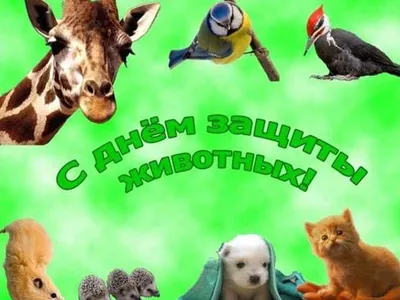 Всемирный день защиты животных - Заповедник «Нургуш»