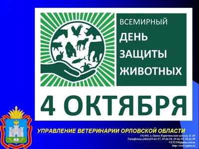 Межпоселенческая централизованная библиотечная система | Новости