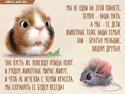 4 октября - Всемирный день защиты животных. Эколого-просветительские  мероприятия Минприроды в Москве