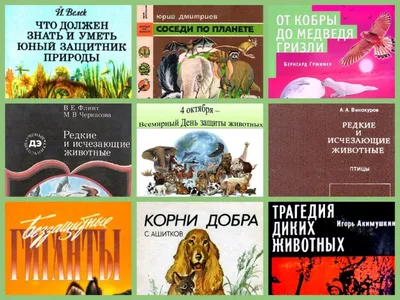 4 октября – День защиты животных - Российская Государственная библиотека  для слепых