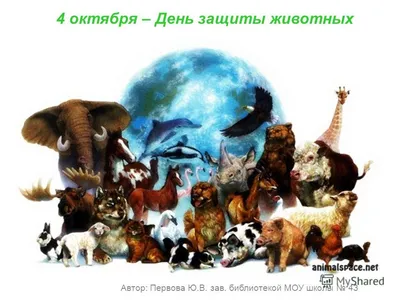 Всемирный день защиты животных - Новости - ГУДО \"Оршанский районный  эколого-биологический центр детей и молодёжи\"