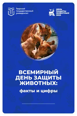 Всемирный день защиты животных отмечается 4 октября | Ветеринария и жизнь