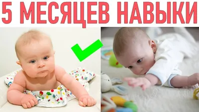 5 месяцев нашей девочке 💓2 зубика и переворачиваемся во всю💓очень любит  деток,смеётся когда их видит#никулякрасотуля#5months | Instagram