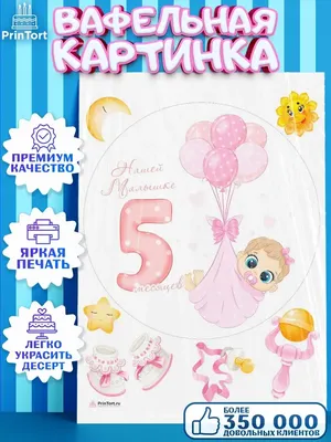 5,5 месяцев. Пятый скачок развития ребенка: осознание взаимосвязей -  baby-sleep.ru