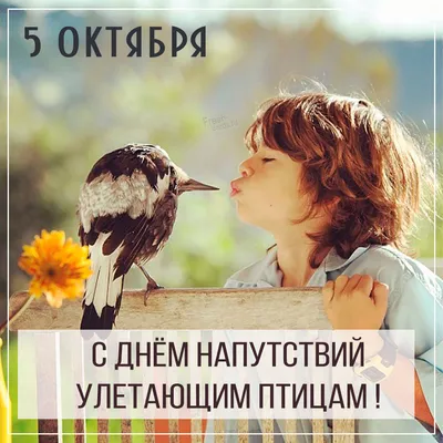 5 октября — Всемирный день учителя / Открытка дня / Журнал Calend.ru
