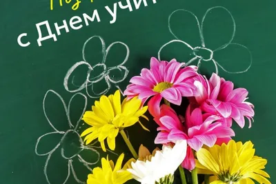 День учителя - 5 октября | 05.10.2021 | Новости Горно-Алтайска - БезФормата