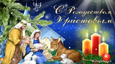 Что можно и что нельзя делать россиянам 7 января в Рождество Христово: 5  обязанностей, 8 страшных запретов, 10 примет – как правильно читать | Весь  Искитим | Дзен