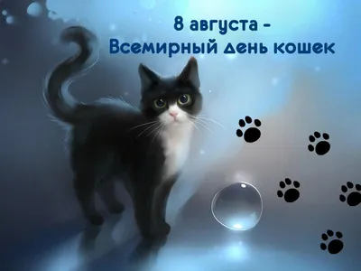 Новости: 8 августа мы отмечаем Всемирный день кошек