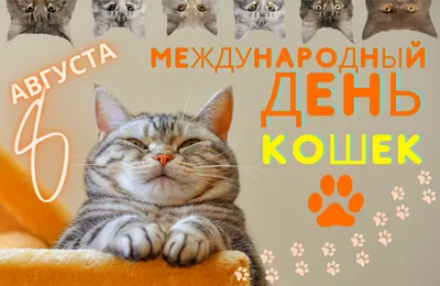 8 августа отмечают Всемирный день кошек