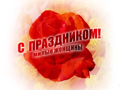 С наступающим 8 Марта, милые дамы! — Nice