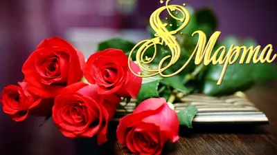 Дорогие женщины, поздравляем Вас с 8 Марта! | Новости | МФЦ Неклиновского  района | Главная | МФЦ Портал
