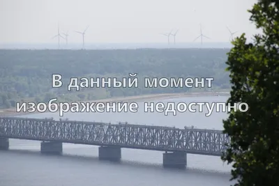 8 Марта не кончается. Гомельчанки продолжают выкладывать в Instagram цветы  и подарки