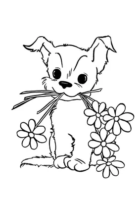 Рисуем Домашних Животных фломастерами | SkillBerry | Онлайн-школа рисования  и рукоделия для детей и взрослых СкиллБерри