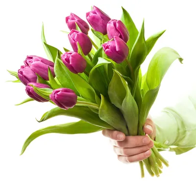 8 марта: лучшие подарки девушкам – цветы и бриллианты – Новости и пресс  релизы МТС Банка от 02 марта 2021
