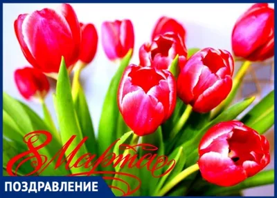 8 марта - Международный женский день | Казахский национальный университет  им. аль-Фараби