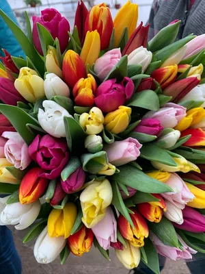 8 марта тюльпаны фото