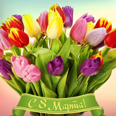Фото-поздравление с тюльпанами - открытка № 11760 категории на 8 марта. Вы  можете скачать и поделиться этой открыт… | Цветы день рождения, Тюльпаны, С  днем рождения