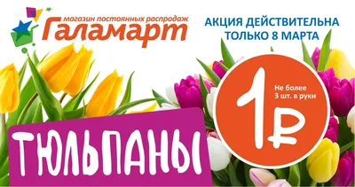 Тюльпаны и гиацинты на 8 марта за 1840 ₽ с доставкой по Москве