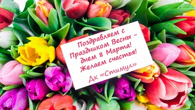 Поздравление ректора Владимира Трухачева с Днем 8 марта | Новости РГАУ-МСХА