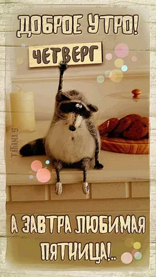 Pin by Татьяна Сальникова on Разное | Good morning cards, Funny animals,  Good morning