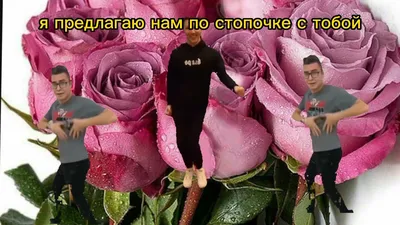 Быстрый - Деньги - Фаст Всё-таки завтра Пятница - Форум социальной  инженерии — Zelenka.guru (Lolzteam)