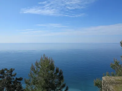 Озеро Рица в апреле (59 фото) - 59 фото