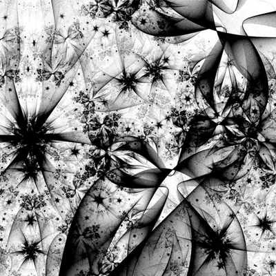 абстрактные черно белые абстрактные волнистые векторные изображения, 3d  иллюстрация бесшовное повторение ряби черно белого рисунка, Hd фотография  фото фон картинки и Фото для бесплатной загрузки
