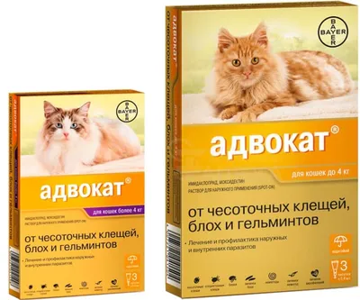 Купить капли для кошек против клещей и блох Elanco Адвокат, вес более 4 кг,  0,8 мл, 4 шт, цены на Мегамаркет | Артикул: 100024217035