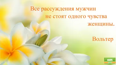 Цитаты в Картинках - Цитаты в Картинках #цитаты_в_картинках  http://www.linaivanitsyna.com/ | Facebook