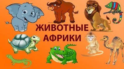 Комплект «Животные Африки» — Marivanna.store