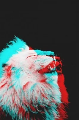 Обои на телефон | Tatuaje de tigre blanco, Fotos de animales salvajes,  Fotografía animal