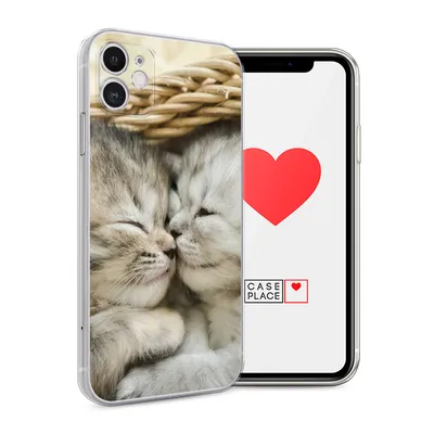 Чехол для iPhone 11 Pro матовый Котики, Прикольные надписи купить в  интернет магазине | Цена 815 руб | Прикольные