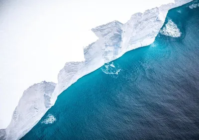 Появились фото крупнейшего в мире айсберга, который вынесло в Южный океан -  Российская газета