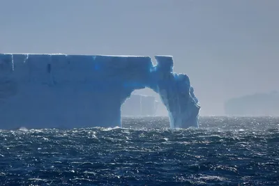 Тайны айсбергов: почему гигантские ледяные горы приплывают к Ньюфаундленду  / Оффтопик / iXBT Live