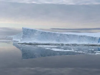 Чем опасен самый большой в мире айсберг A23a весом в триллион тонн — Сноб