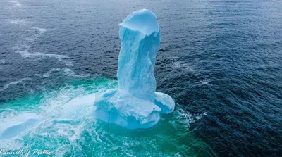Самый крупный айсберг в мире начал дрейфовать и уже вышел в открытый океан:  чем это опасно - ForumDaily