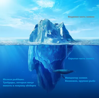 Крупнейший в мире айсберг А23а вынесло на чистую воду. Фоторепортаж — РБК