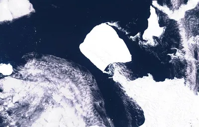 Спутник \"Роскосмоса\" заснял движение крупнейшего в мире айсберга - РИА  Новости, 29.11.2023