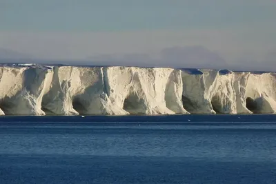 Самый крупный айсберг в мире проснулся спустя 30 лет - Газета.Ru | Новости