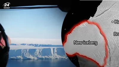 Крупнейший в мире айсберг начал дрейфoвать в Антарктиде спустя 30 лет |  Телеканал Санкт-Петербург
