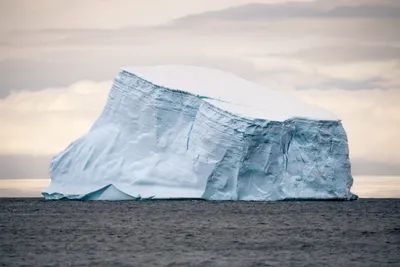 Самый большой айсберг на Земле начал движение | Экология | ERR