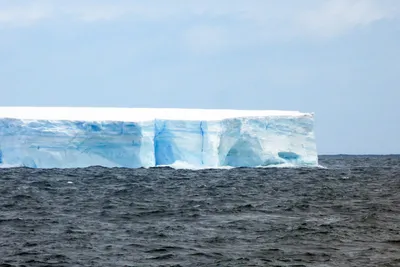 В Антарктиде оторвался от дна и поплыл самый большой и старейший айсберг в  мире | Sobaka.ru